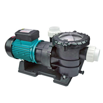 Swimming pool pump for Garden irrigation SP300